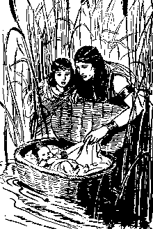 arquilla