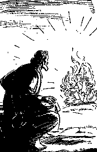 zarza