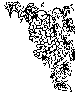 Vid