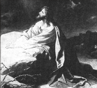 Oraci&oacute;n