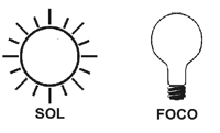 luz